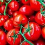 واردات گوجه فرنگی از چین