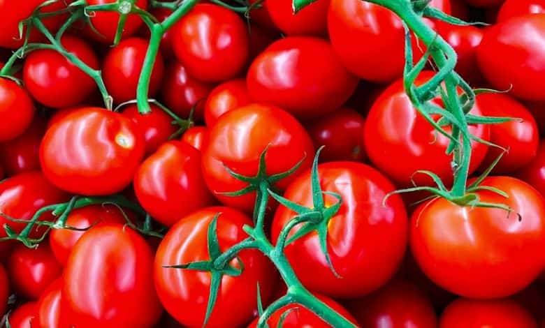 واردات گوجه فرنگی از چین